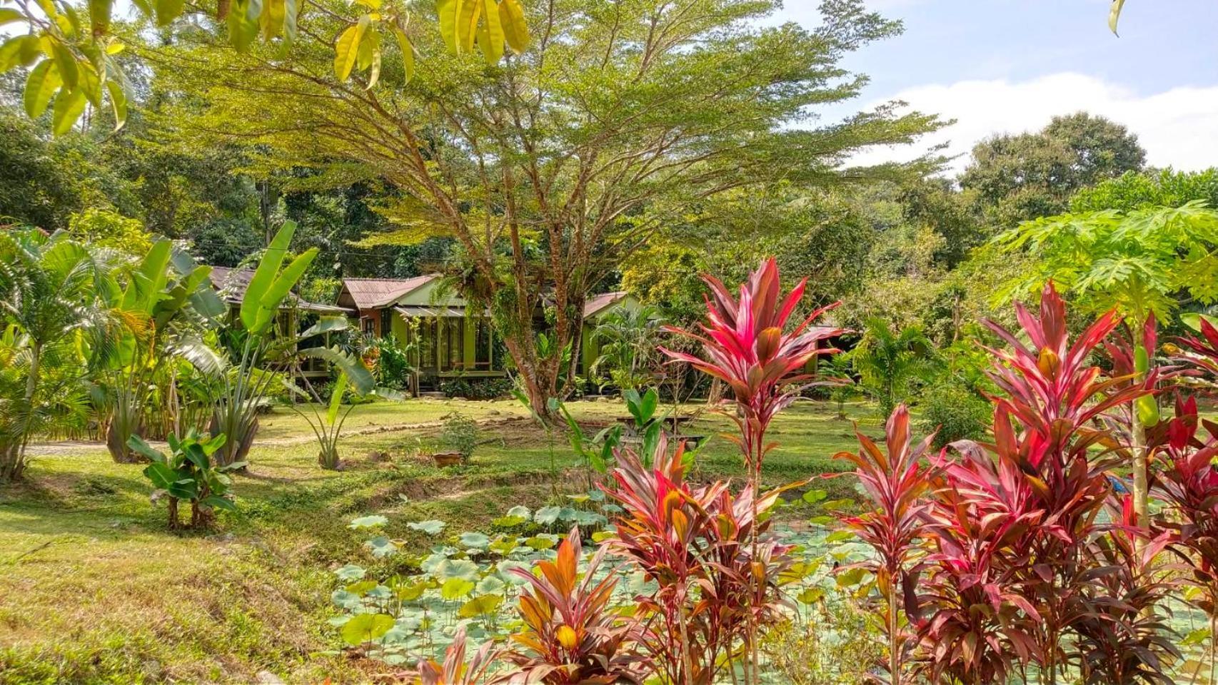 Baan Bua Cottage Sha Extra Plus B5510 Ko Kut Exterior foto